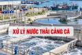 Xử Lý Nước Thải Cảng Cá