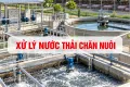 Xử Lý Nước Thải Chăn Nuôi