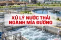 Xử Lý Nước Thải Ngành Mía Đường
