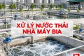 Xử Lý Nước Thải Ngành Bia