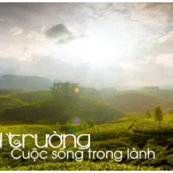 Môi Trường