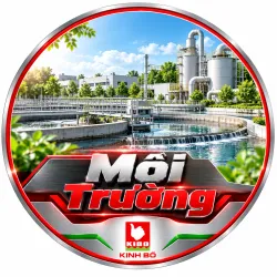 Môi Trường