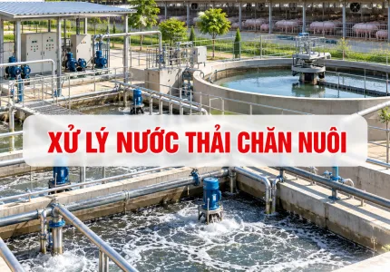 Xử Lý Nước Thải Chăn Nuôi